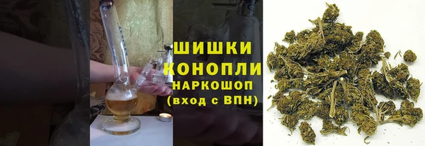 прущая мука Арсеньев