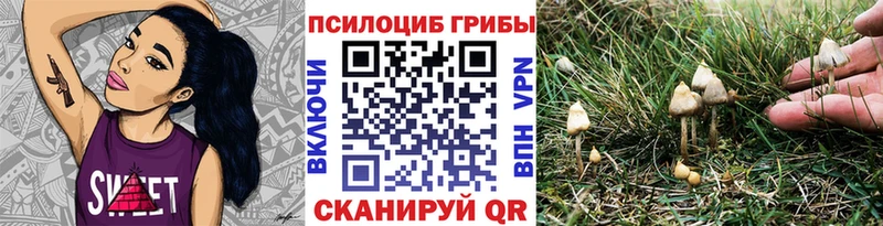 Галлюциногенные грибы прущие грибы  Купить закладки  Мончегорск 